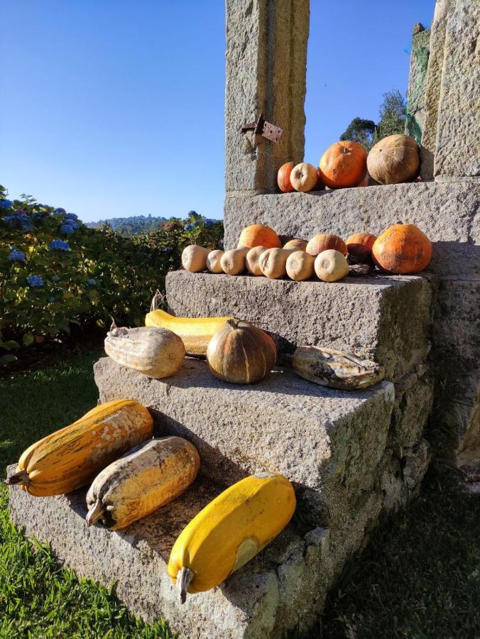 Casa Da Mata Villa Paredes de Coura Eksteriør bilde